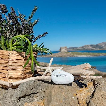 Sardinia Re - Villa Pelosa Stintino Eksteriør billede