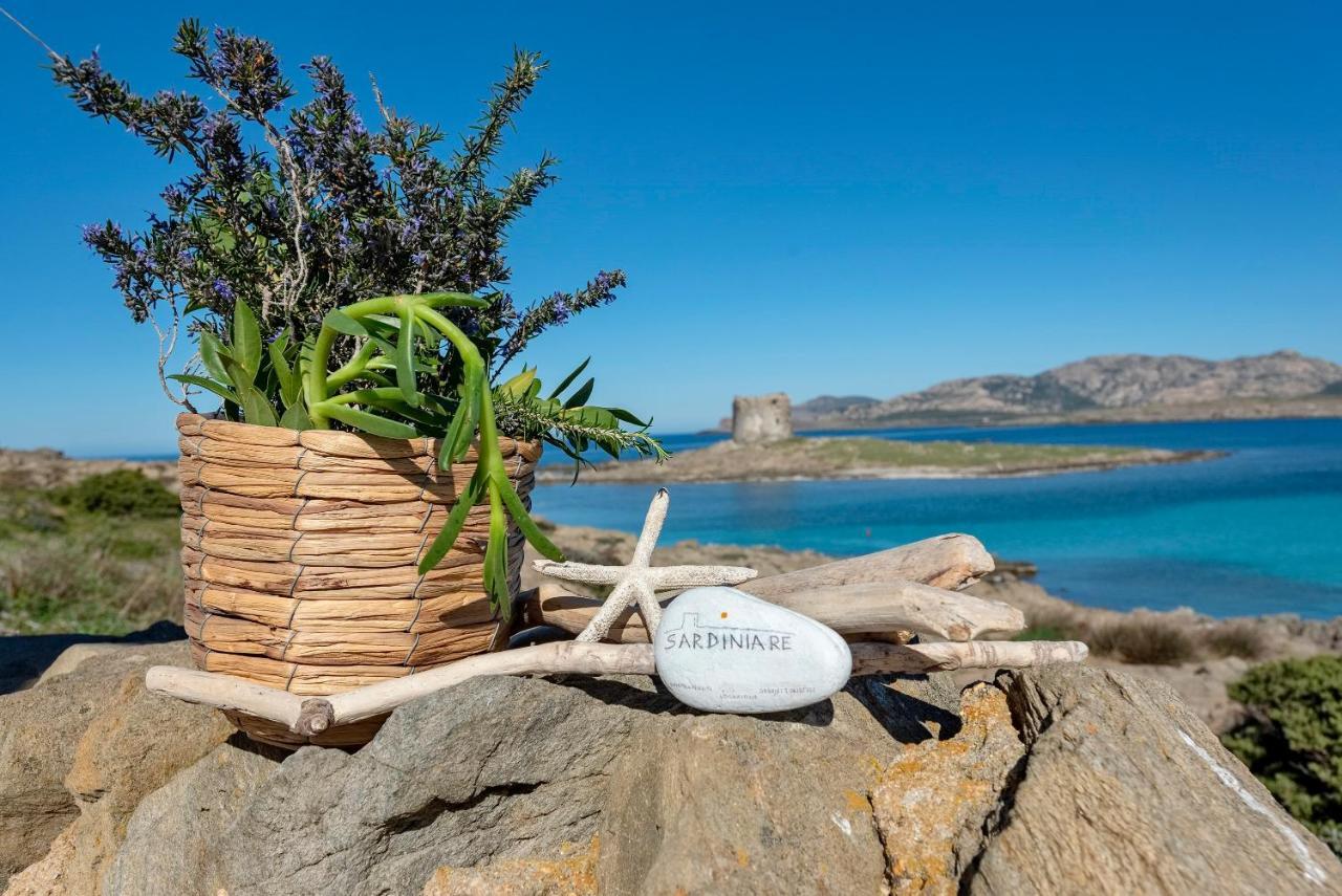 Sardinia Re - Villa Pelosa Stintino Eksteriør billede