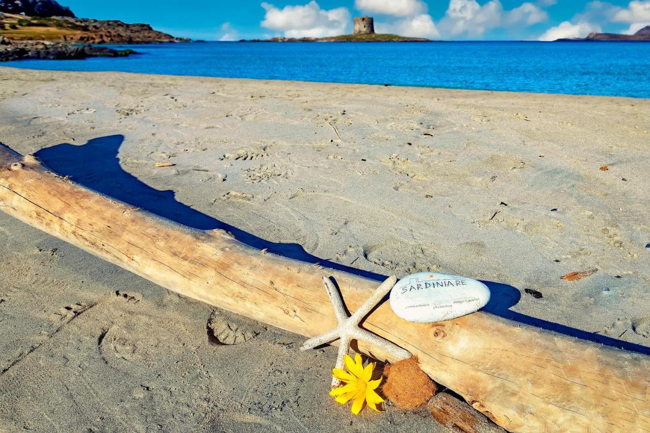 Sardinia Re - Villa Pelosa Stintino Eksteriør billede