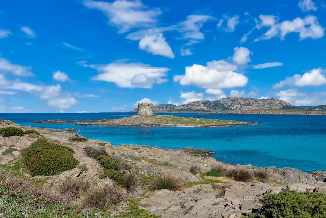 Sardinia Re - Villa Pelosa Stintino Eksteriør billede