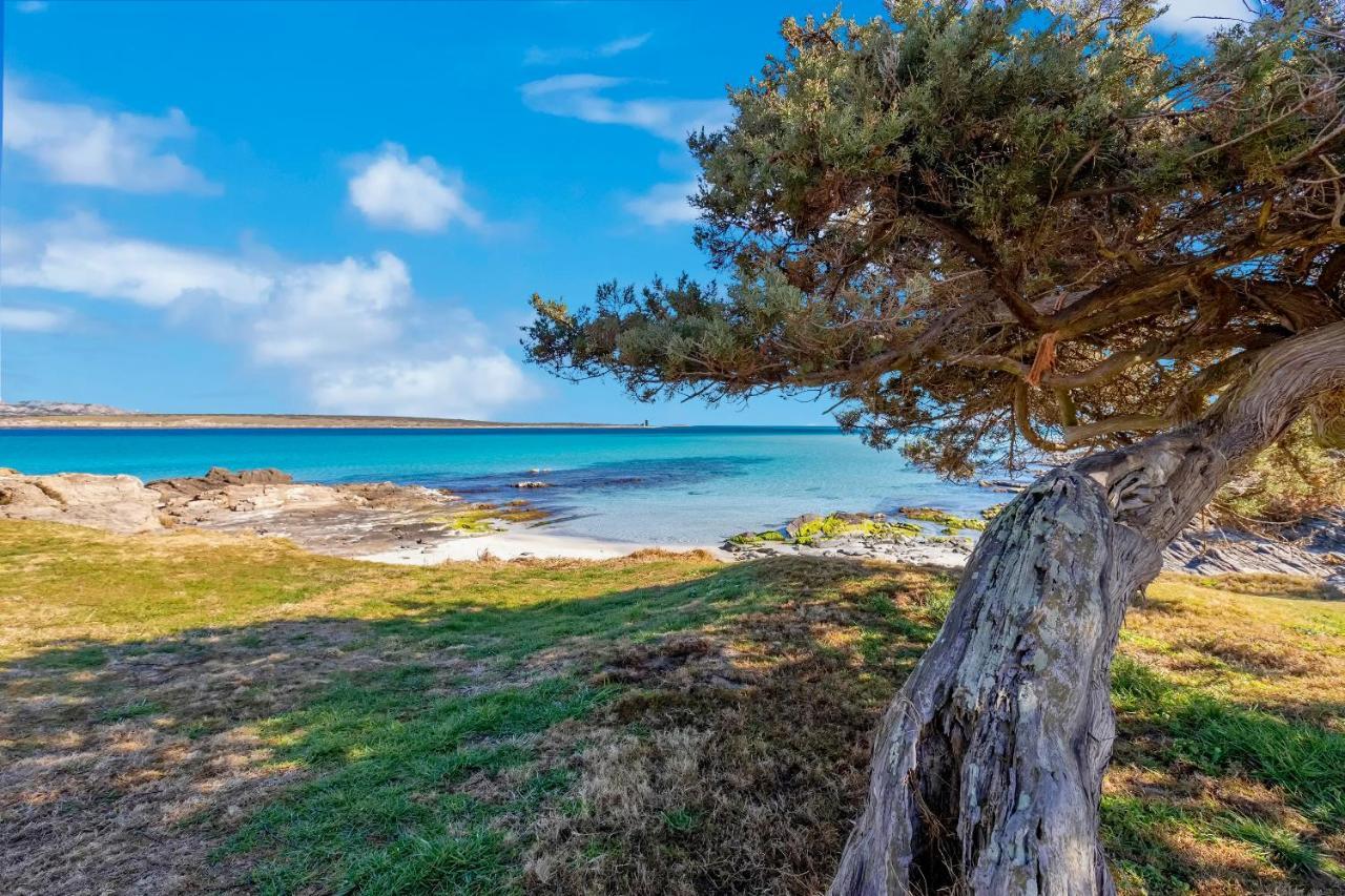 Sardinia Re - Villa Pelosa Stintino Eksteriør billede