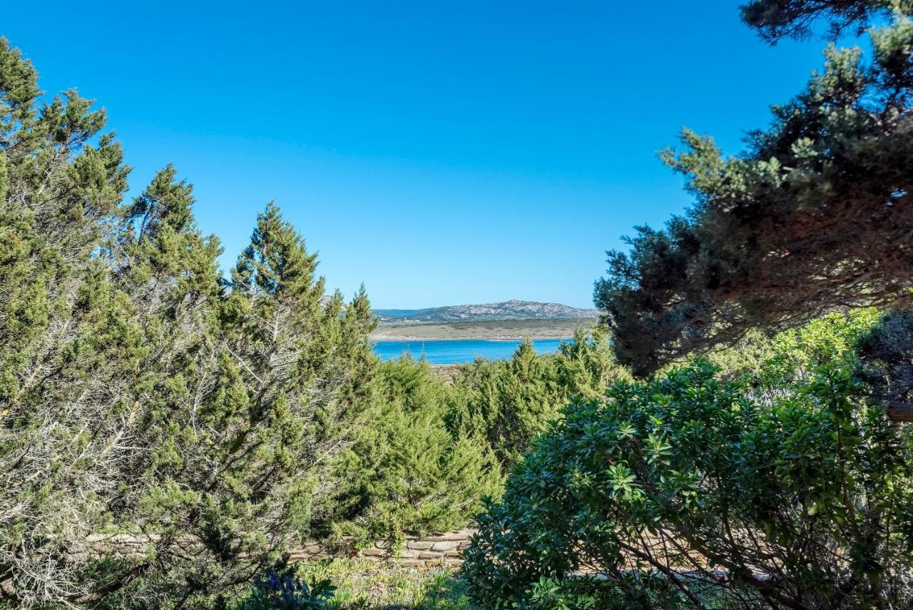 Sardinia Re - Villa Pelosa Stintino Eksteriør billede